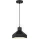 Poly LED 11 inch Matte Black Pendant Ceiling Light