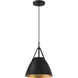 Tanner LED 10.75 inch Matte Black Pendant Ceiling Light