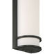 Cove Dual Voltage 6 inch Black Wall Sconce Wall Light