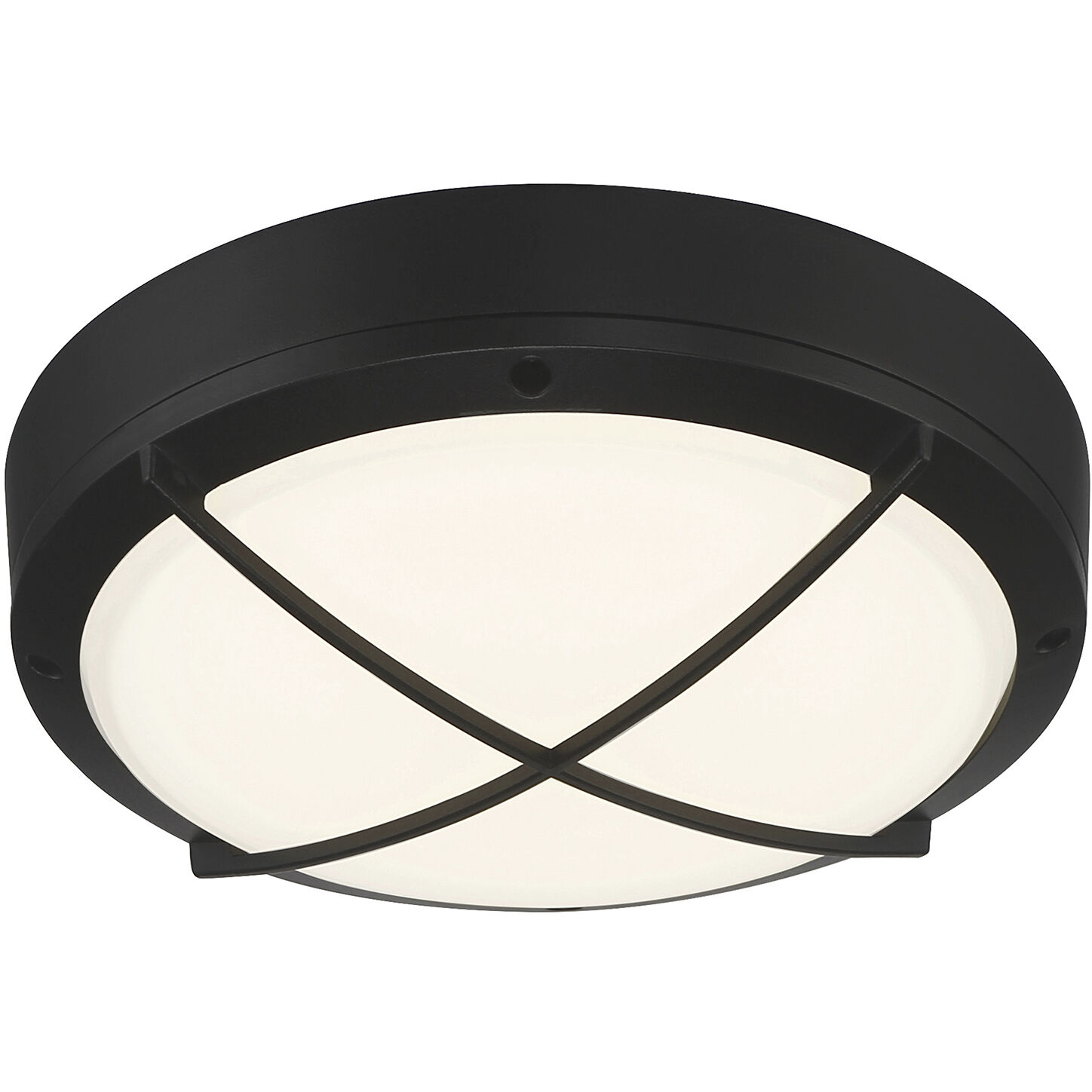 Meridian LED 11 inch Matte Black and Frosted Outdoor Flush Mount