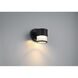 Ari Clear Ribbed 4.75 inch Black Wall Sconce Wall Light