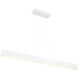 Form LED 2 inch Matte White Pendant Ceiling Light