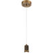 Port Nine LED 7.5 inch Antique Brushed Brass Pendant Ceiling Light in Clear