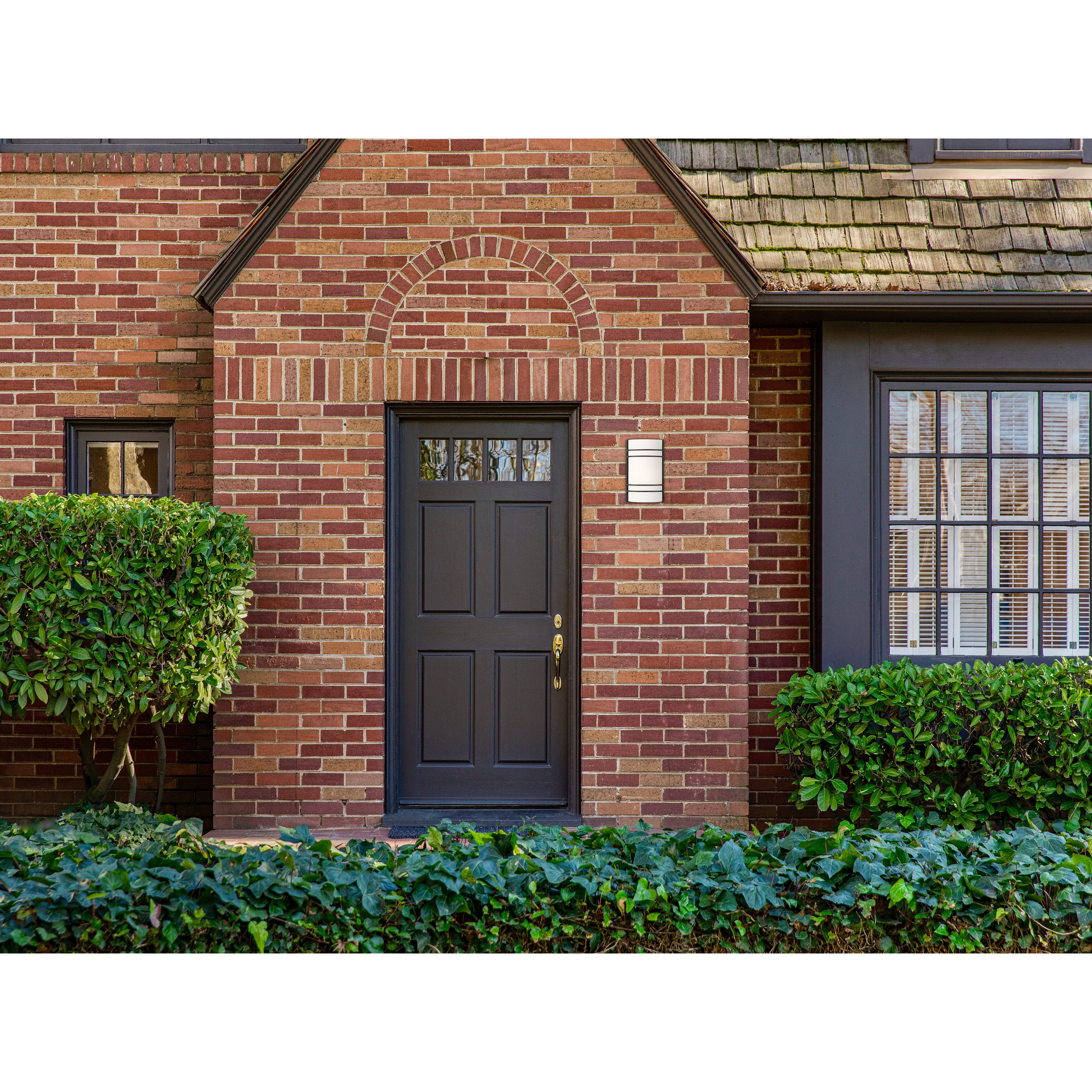 Cassi Wall Sconce Wall Light in Matte Black