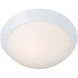 Cobalt 2 Light 13 inch White Flush Mount Ceiling Light