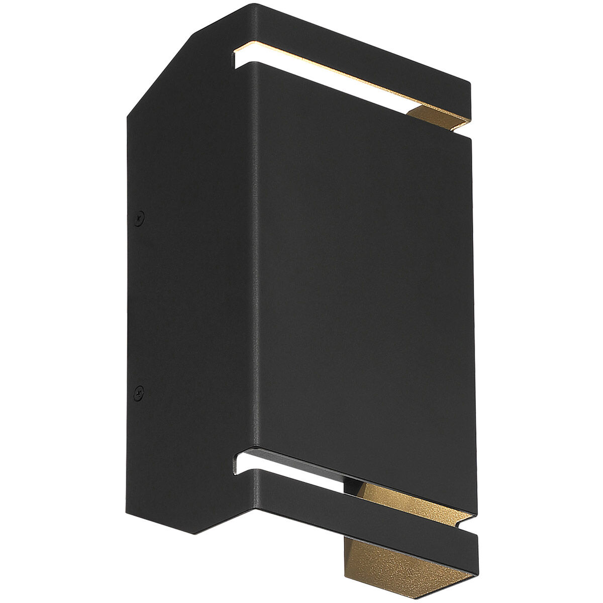 La Vida LED 10 inch Black Outdoor Wall Sconce