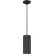 Pilson XL 6 inch Matte Black Pendant Ceiling Light 