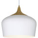 Blend 1 Light 12 inch White Pendant Ceiling Light