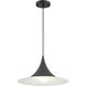 Costa 1 Light 15.75 inch Matte Black Pendant Ceiling Light