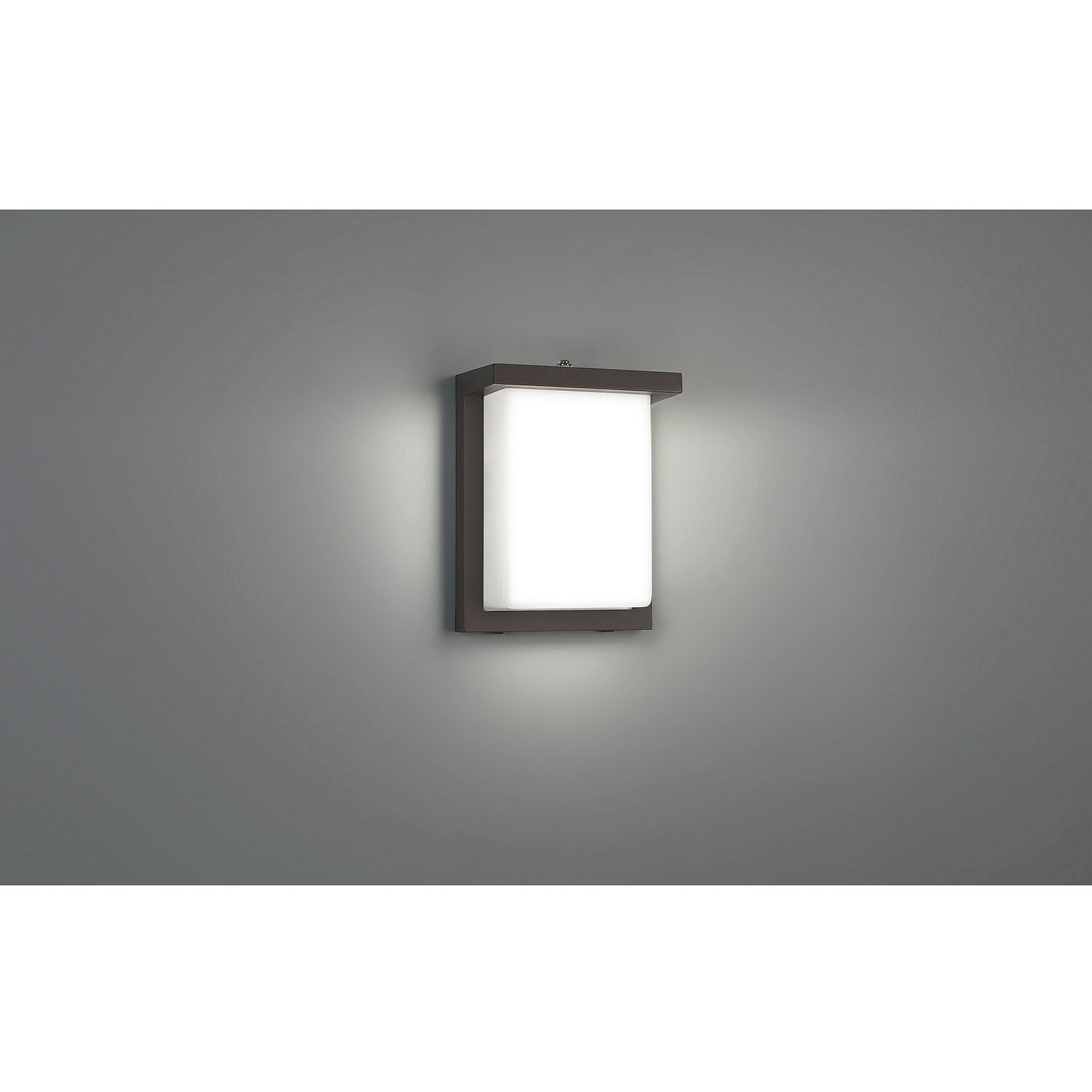 Sequoia Outdoor Wall Mount