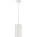 Pilson XL LED 6 inch Matte White Pendant Ceiling Light