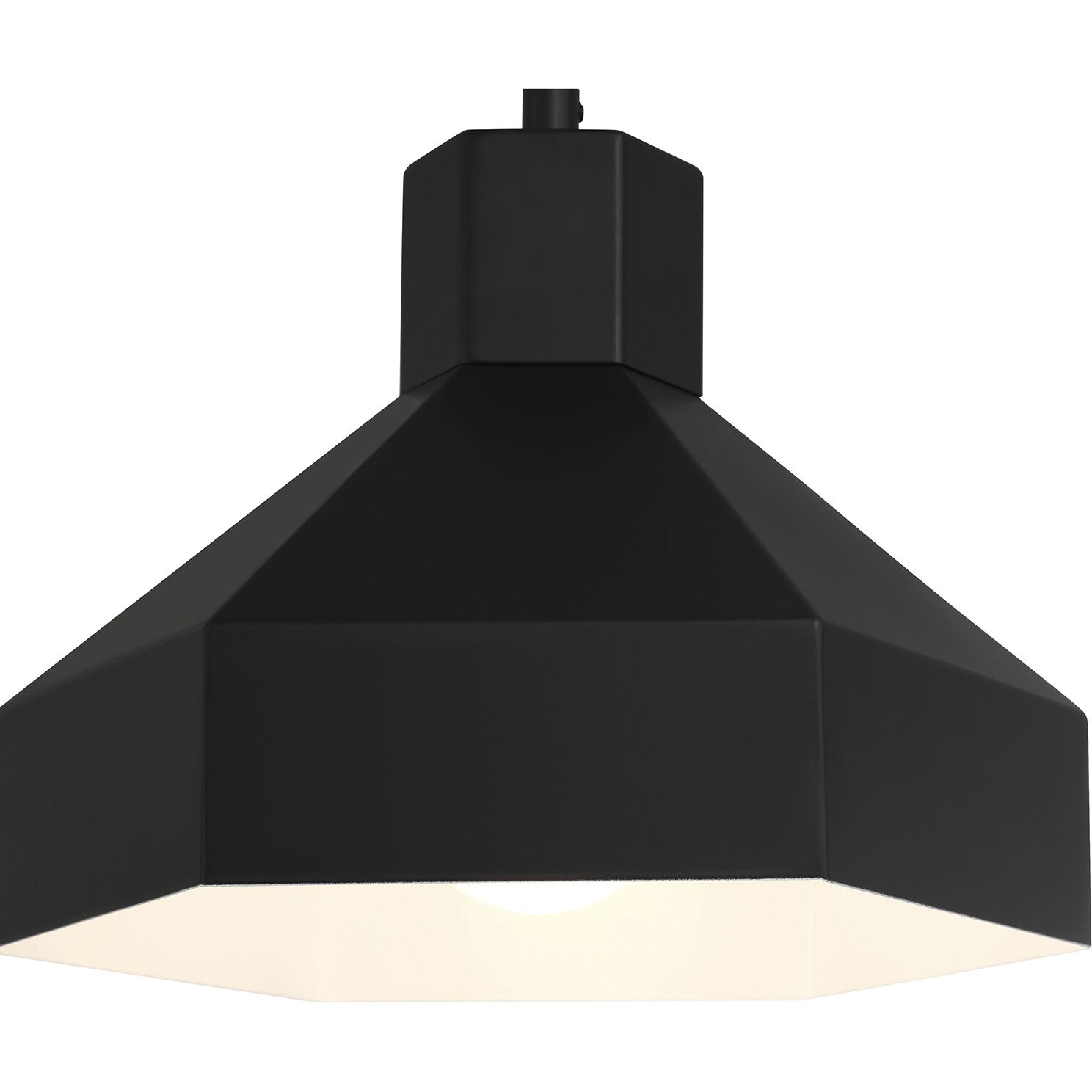 Poly LED 11 inch Matte Black Pendant Ceiling Light