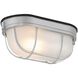 Nauticus Dual Mount 4 inch Satin Outdoor Wall Sconce