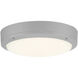 Rockaway 11.00 inch Outdoor Ceiling Light