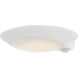 Ace MS 7.25 inch White Flush Mount Ceiling Light