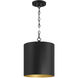 Knox LED 11 inch Matte Black Pendant Ceiling Light