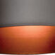 Poseidon LED 6 inch Bronze Outdoor Wallwasher