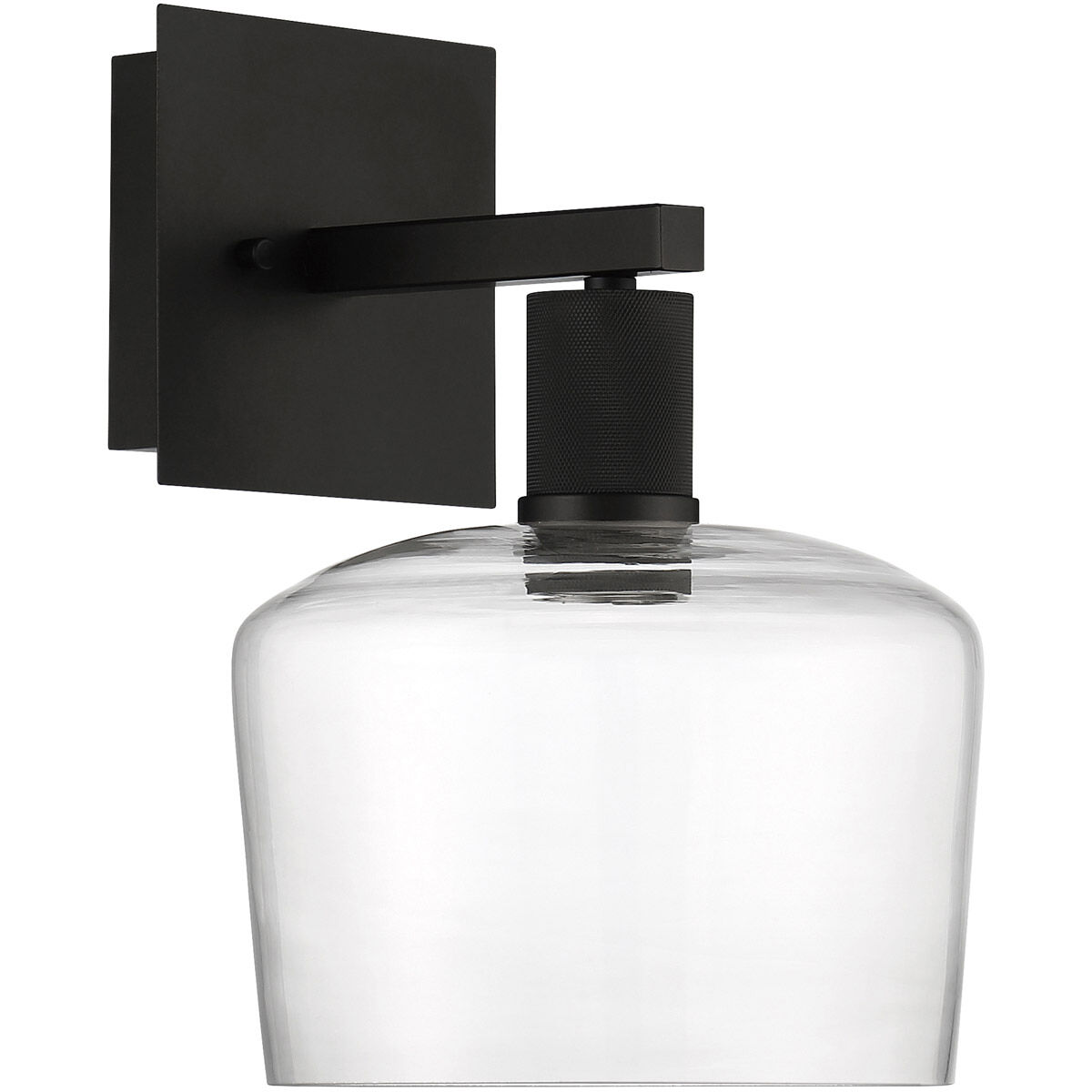 Port Nine Wall Sconce Wall Light in Clear, Matte Black