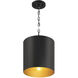 Knox LED 11 inch Matte Black Pendant Ceiling Light