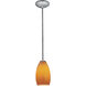 Champagne 1 Light 5 inch Brushed Steel Pendant Ceiling Light in Maya