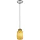 Champagne 1 Light 5 inch Brushed Steel Pendant Ceiling Light in Maya