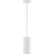Pilson LED 5 inch Matte White Pendant Ceiling Light