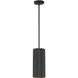 Pilson XL LED 6 inch Matte Black Pendant Ceiling Light