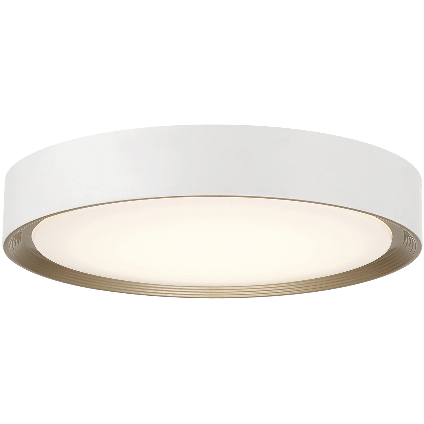Malaga LED 23.75 inch Matte White and White Flush Mount Ceiling Light