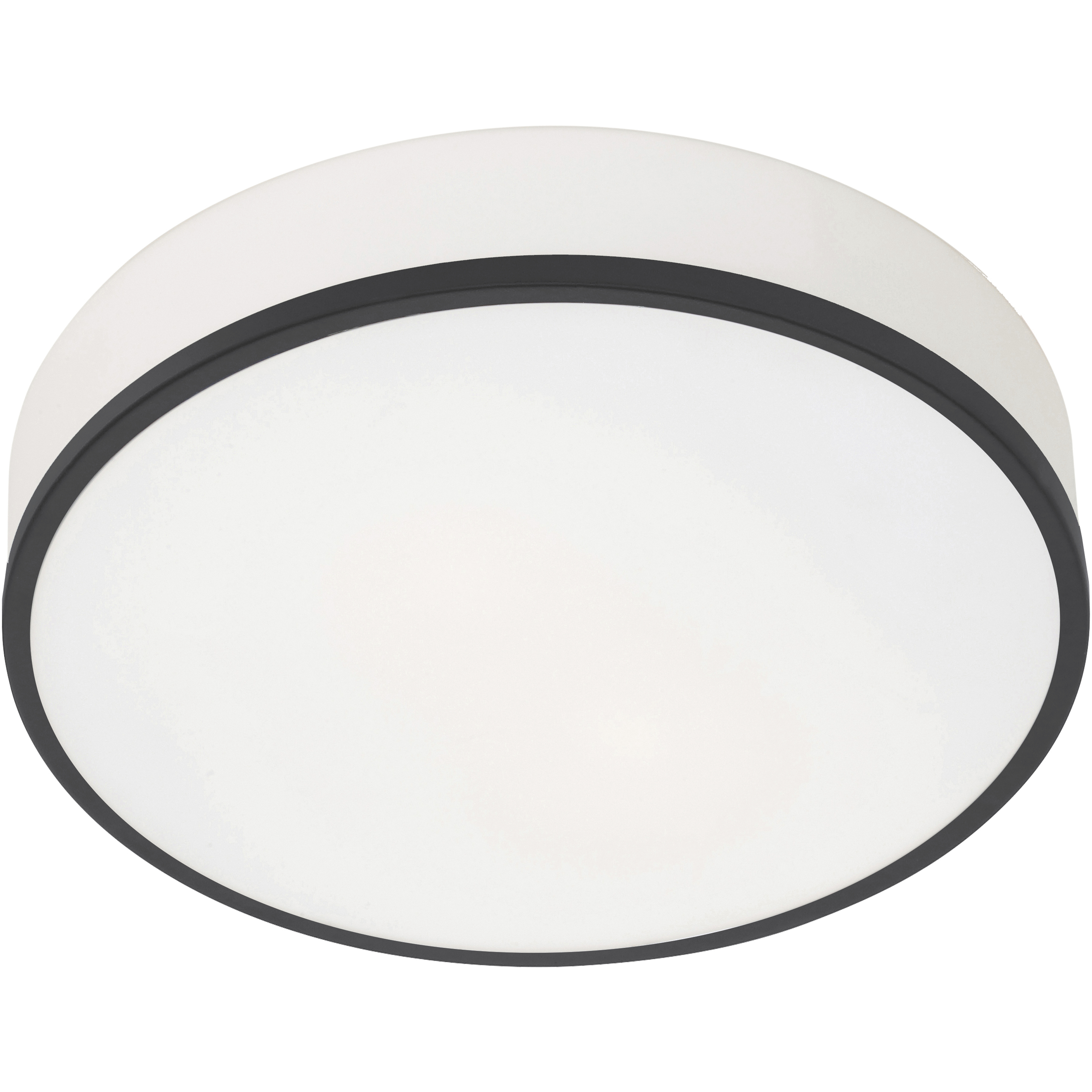 Aero 12.5 inch Matte Black Flush Mount Ceiling Light
