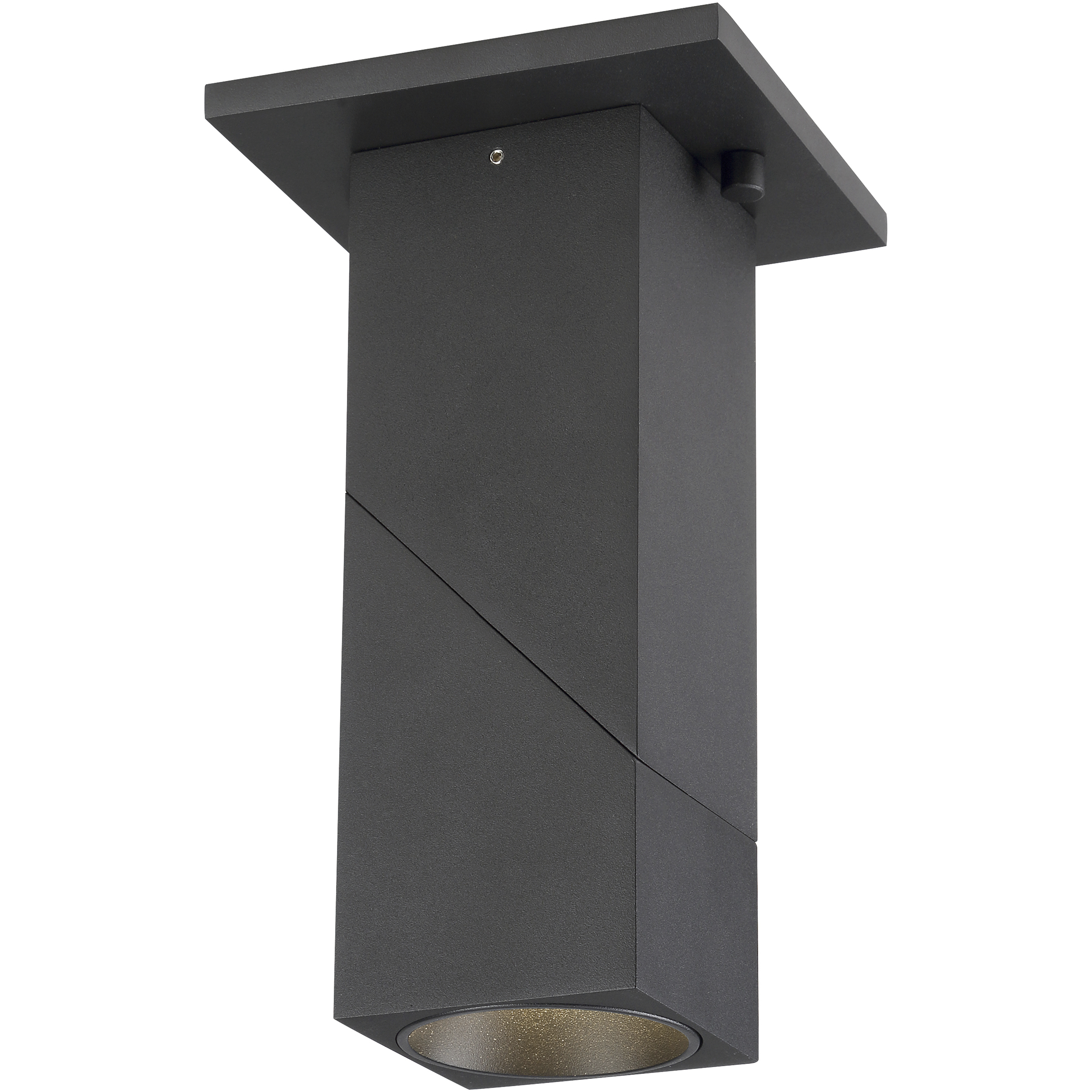 Transformer Black and Clear 11 watt LED Spotlight